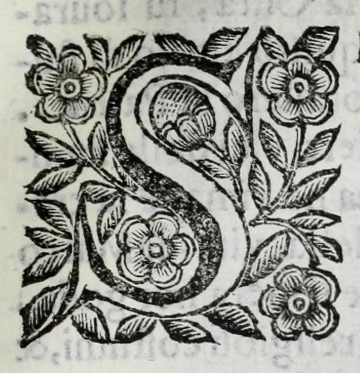 An illustration from Scena letteraria de gli scrittori Bergamaschi : aperta alla curiosita' de suoi concittadini, 1664, leaf 413