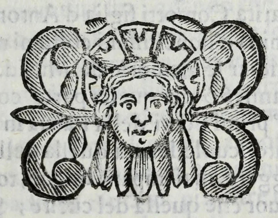 An illustration from Scena letteraria de gli scrittori Bergamaschi : aperta alla curiosita' de suoi concittadini, 1664, leaf 419