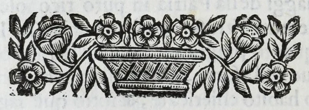 An illustration from Scena letteraria de gli scrittori Bergamaschi : aperta alla curiosita' de suoi concittadini, 1664, leaf 424