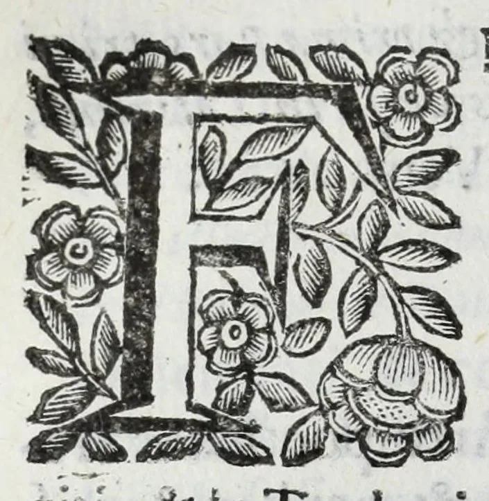 An illustration from Scena letteraria de gli scrittori Bergamaschi : aperta alla curiosita' de suoi concittadini, 1664, leaf 442