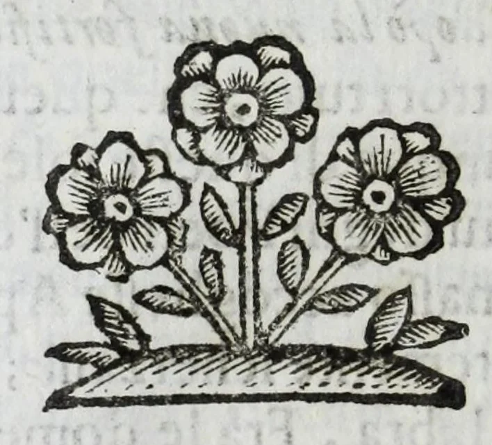 An illustration from Scena letteraria de gli scrittori Bergamaschi : aperta alla curiosita' de suoi concittadini, 1664, leaf 472