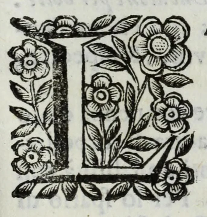 An illustration from Scena letteraria de gli scrittori Bergamaschi : aperta alla curiosita' de suoi concittadini, 1664, leaf 487