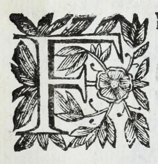 An illustration from Scena letteraria de gli scrittori Bergamaschi : aperta alla curiosita' de suoi concittadini, 1664, leaf 502