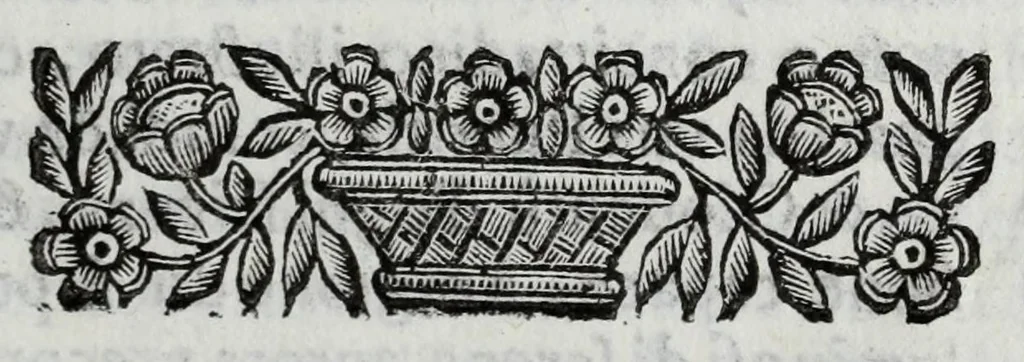 An illustration from Scena letteraria de gli scrittori Bergamaschi : aperta alla curiosita' de suoi concittadini, 1664, leaf 51
