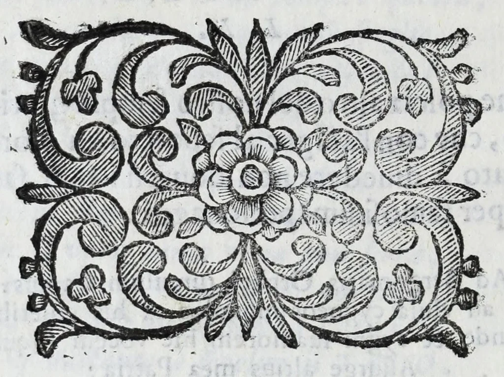 An illustration from Scena letteraria de gli scrittori Bergamaschi : aperta alla curiosita' de suoi concittadini, 1664, leaf 516