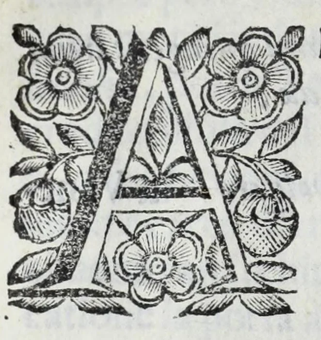 An illustration from Scena letteraria de gli scrittori Bergamaschi : aperta alla curiosita' de suoi concittadini, 1664, leaf 524