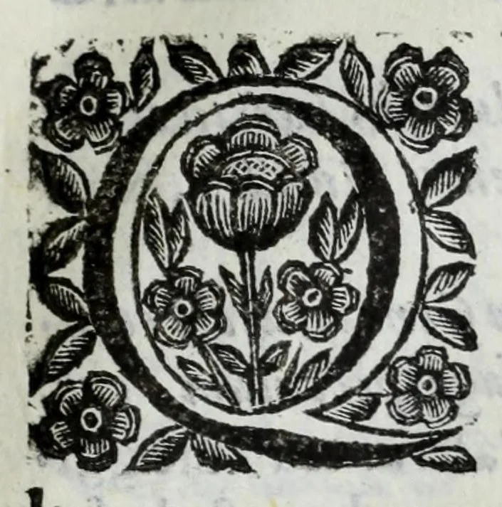An illustration from Scena letteraria de gli scrittori Bergamaschi : aperta alla curiosita' de suoi concittadini, 1664, leaf 533