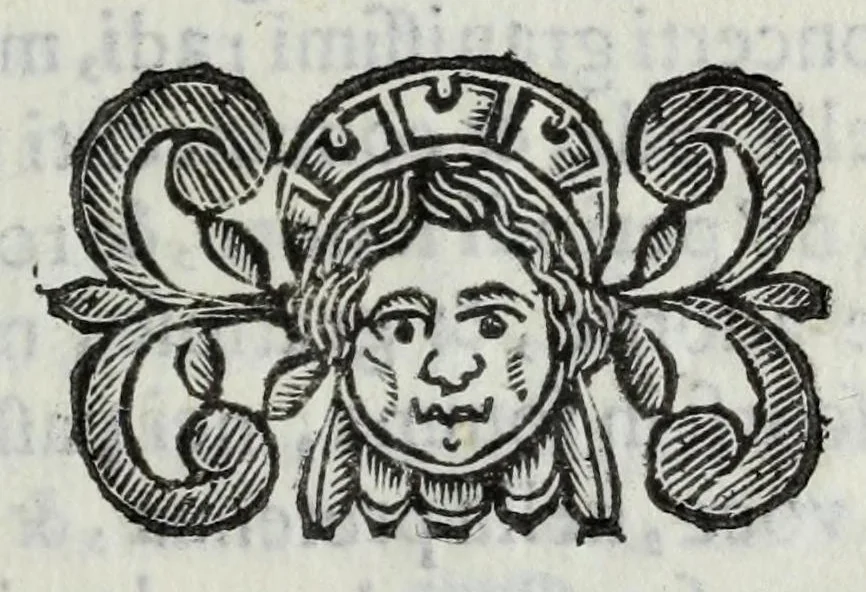 An illustration from Scena letteraria de gli scrittori Bergamaschi : aperta alla curiosita' de suoi concittadini, 1664, leaf 539