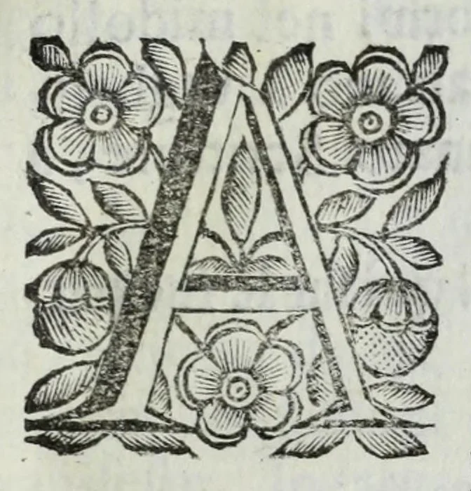 An illustration from Scena letteraria de gli scrittori Bergamaschi : aperta alla curiosita' de suoi concittadini, 1664, leaf 551