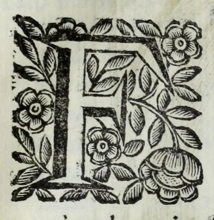 An illustration from Scena letteraria de gli scrittori Bergamaschi : aperta alla curiosita' de suoi concittadini, 1664, leaf 559