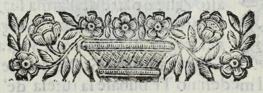 An illustration from Scena letteraria de gli scrittori Bergamaschi : aperta alla curiosita' de suoi concittadini, 1664, leaf 559