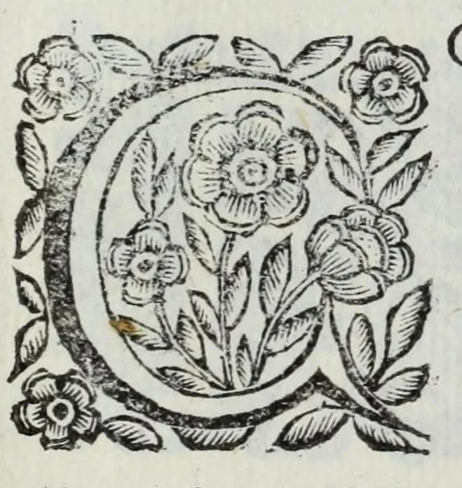 An illustration from Scena letteraria de gli scrittori Bergamaschi : aperta alla curiosita' de suoi concittadini, 1664, leaf 563