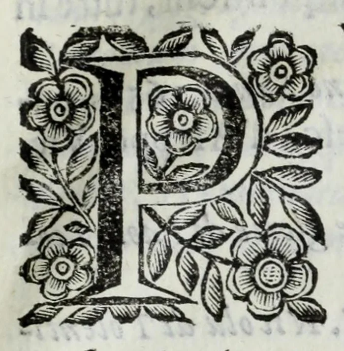 An illustration from Scena letteraria de gli scrittori Bergamaschi : aperta alla curiosita' de suoi concittadini, 1664, leaf 573