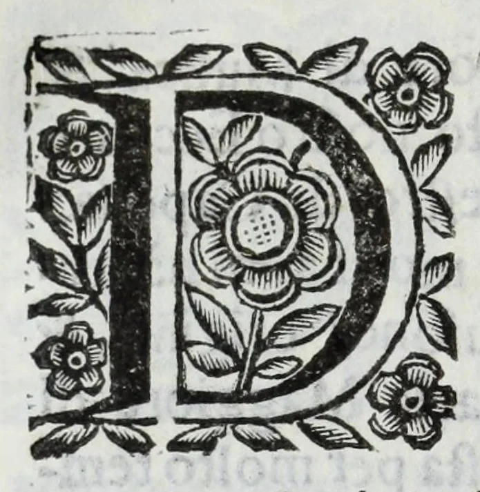 An illustration from Scena letteraria de gli scrittori Bergamaschi : aperta alla curiosita' de suoi concittadini, 1664, leaf 582