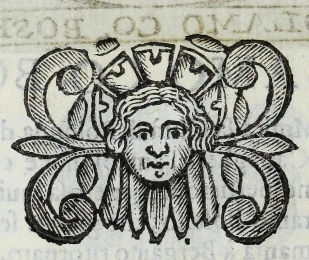 An illustration from Scena letteraria de gli scrittori Bergamaschi : aperta alla curiosita' de suoi concittadini, 1664, leaf 590