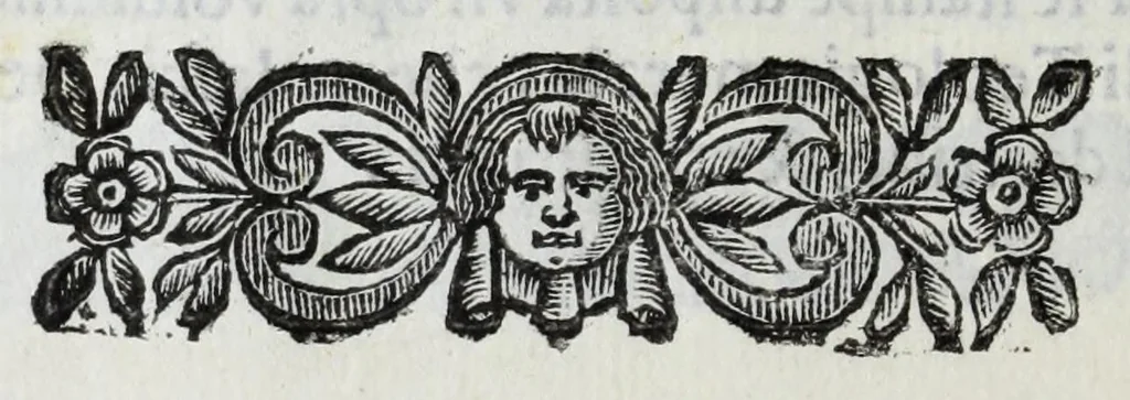 An illustration from Scena letteraria de gli scrittori Bergamaschi : aperta alla curiosita' de suoi concittadini, 1664, leaf 596