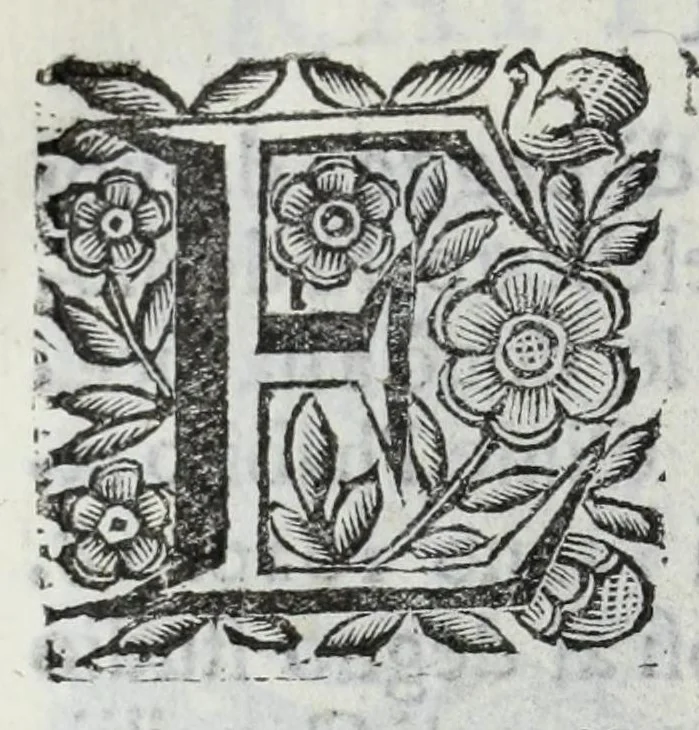 An illustration from Scena letteraria de gli scrittori Bergamaschi : aperta alla curiosita' de suoi concittadini, 1664, leaf 604