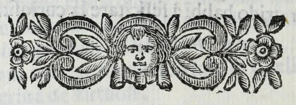 An illustration from Scena letteraria de gli scrittori Bergamaschi : aperta alla curiosita' de suoi concittadini, 1664, leaf 604