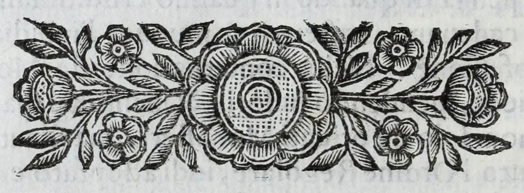 An illustration from Scena letteraria de gli scrittori Bergamaschi : aperta alla curiosita' de suoi concittadini, 1664, leaf 62