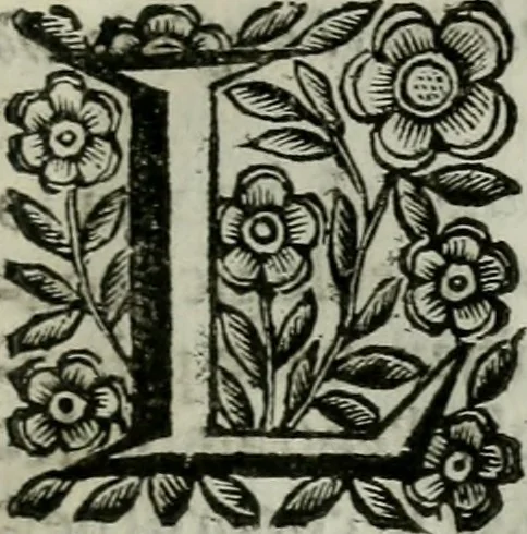 An illustration from Scena letteraria de gli scrittori bergamaschi aperta alla cvriosità de svoi concittadini .., 1664, leaf 104