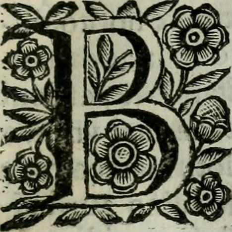 An illustration from Scena letteraria de gli scrittori bergamaschi aperta alla cvriosità de svoi concittadini .., 1664, leaf 106