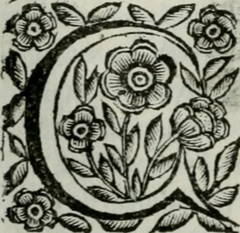 An illustration from Scena letteraria de gli scrittori bergamaschi aperta alla cvriosità de svoi concittadini .., 1664, leaf 109