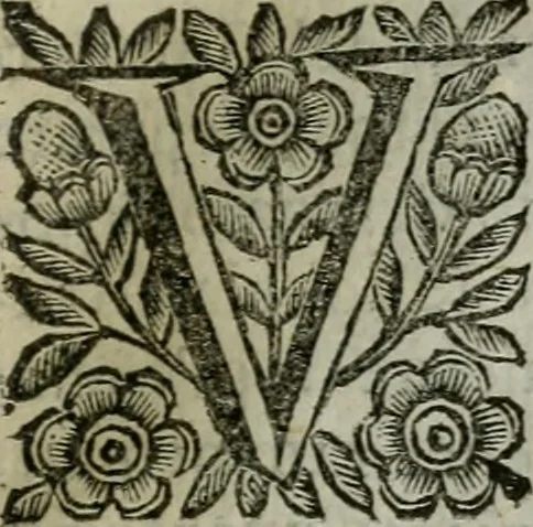 An illustration from Scena letteraria de gli scrittori bergamaschi aperta alla cvriosità de svoi concittadini .., 1664, leaf 118
