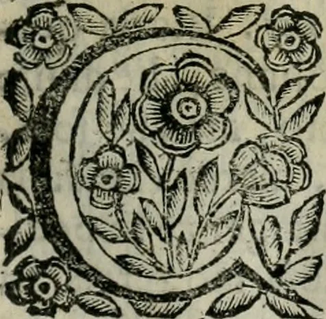 An illustration from Scena letteraria de gli scrittori bergamaschi aperta alla cvriosità de svoi concittadini .., 1664, leaf 120