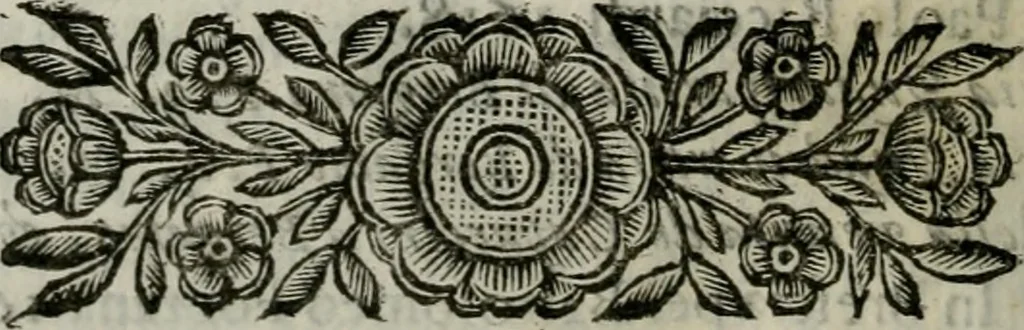 An illustration from Scena letteraria de gli scrittori bergamaschi aperta alla cvriosità de svoi concittadini .., 1664, leaf 123