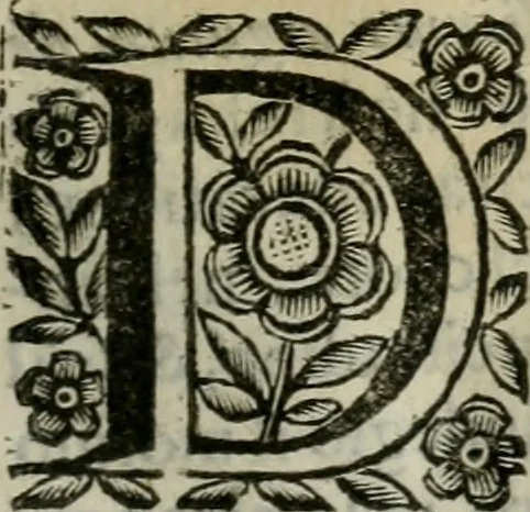An illustration from Scena letteraria de gli scrittori bergamaschi aperta alla cvriosità de svoi concittadini .., 1664, leaf 124