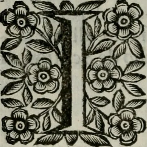 An illustration from Scena letteraria de gli scrittori bergamaschi aperta alla cvriosità de svoi concittadini .., 1664, leaf 127