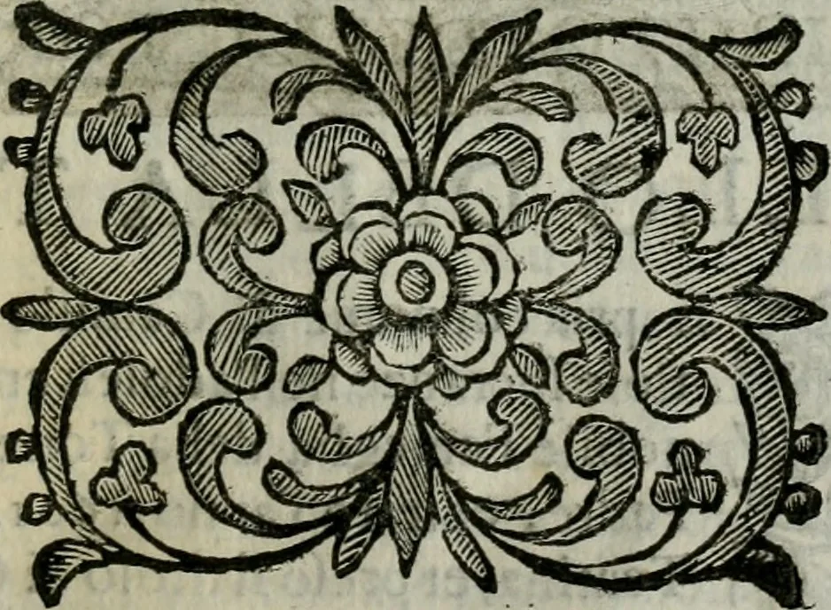 An illustration from Scena letteraria de gli scrittori bergamaschi aperta alla cvriosità de svoi concittadini .., 1664, leaf 128