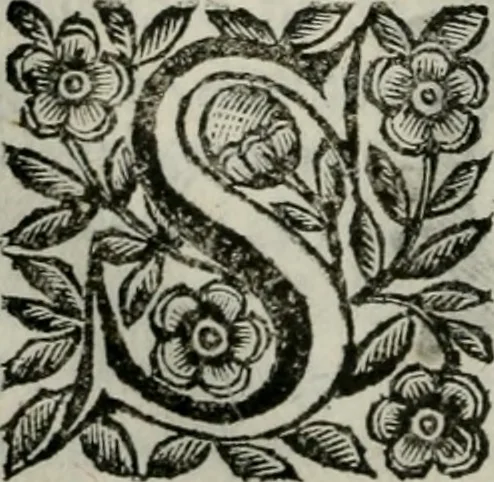 An illustration from Scena letteraria de gli scrittori bergamaschi aperta alla cvriosità de svoi concittadini .., 1664, leaf 129