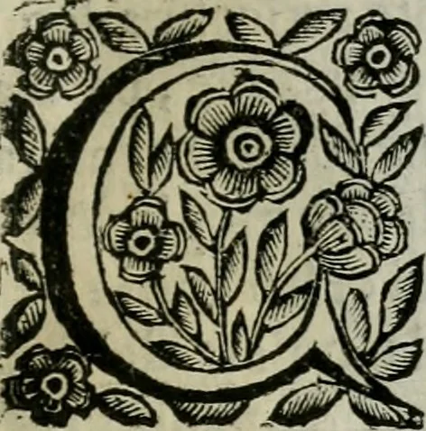 An illustration from Scena letteraria de gli scrittori bergamaschi aperta alla cvriosità de svoi concittadini .., 1664, leaf 138