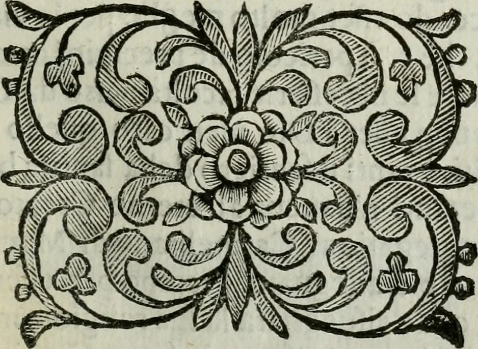 An illustration from Scena letteraria de gli scrittori bergamaschi aperta alla cvriosità de svoi concittadini .., 1664, leaf 140