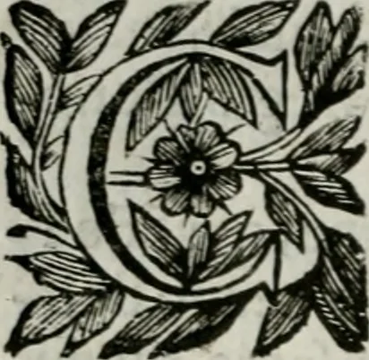 An illustration from Scena letteraria de gli scrittori bergamaschi aperta alla cvriosità de svoi concittadini .., 1664, leaf 141