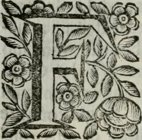 An illustration from Scena letteraria de gli scrittori bergamaschi aperta alla cvriosità de svoi concittadini .., 1664, leaf 143