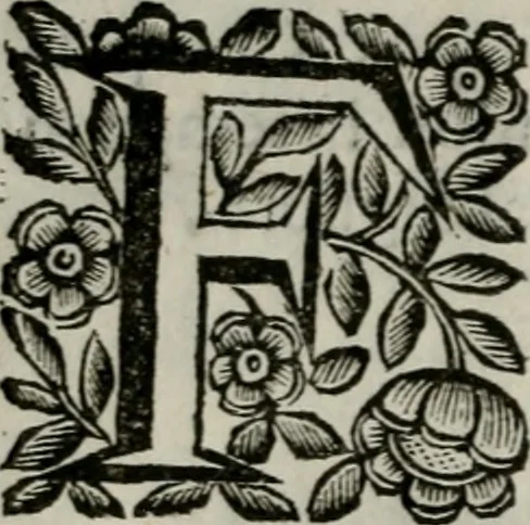 An illustration from Scena letteraria de gli scrittori bergamaschi aperta alla cvriosità de svoi concittadini .., 1664, leaf 149
