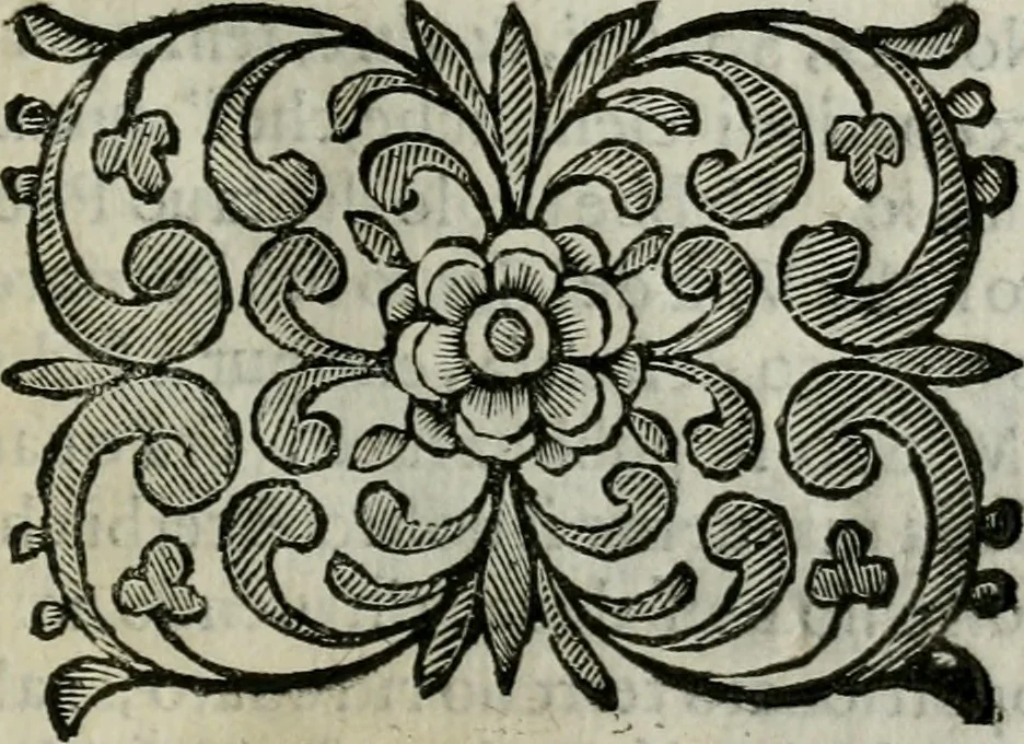 An illustration from Scena letteraria de gli scrittori bergamaschi aperta alla cvriosità de svoi concittadini .., 1664, leaf 150