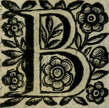An illustration from Scena letteraria de gli scrittori bergamaschi aperta alla cvriosità de svoi concittadini .., 1664, leaf 154