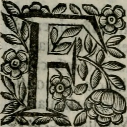 An illustration from Scena letteraria de gli scrittori bergamaschi aperta alla cvriosità de svoi concittadini .., 1664, leaf 159