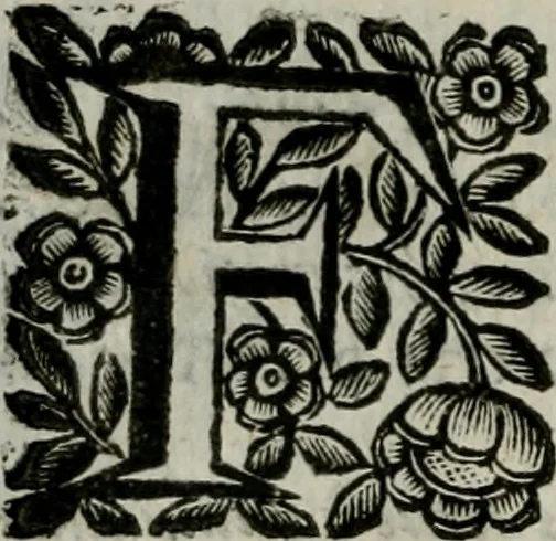An illustration from Scena letteraria de gli scrittori bergamaschi aperta alla cvriosità de svoi concittadini .., 1664, leaf 161