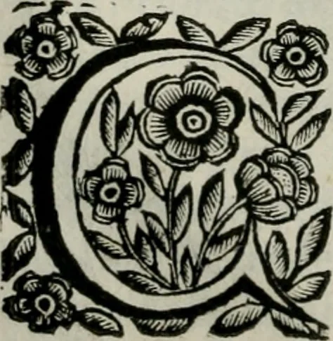 An illustration from Scena letteraria de gli scrittori bergamaschi aperta alla cvriosità de svoi concittadini .., 1664, leaf 163