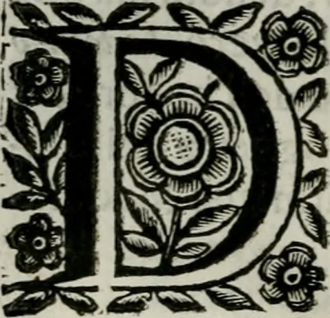 An illustration from Scena letteraria de gli scrittori bergamaschi aperta alla cvriosità de svoi concittadini .., 1664, leaf 167