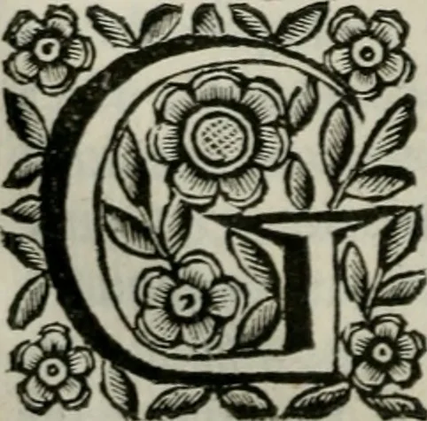 An illustration from Scena letteraria de gli scrittori bergamaschi aperta alla cvriosità de svoi concittadini .., 1664, leaf 169