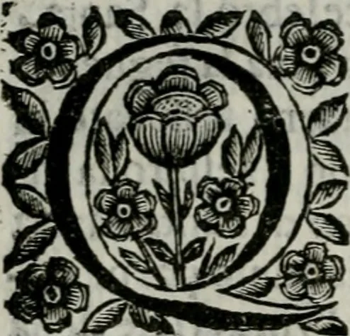 An illustration from Scena letteraria de gli scrittori bergamaschi aperta alla cvriosità de svoi concittadini .., 1664, leaf 173