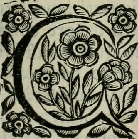 An illustration from Scena letteraria de gli scrittori bergamaschi aperta alla cvriosità de svoi concittadini .., 1664, leaf 180