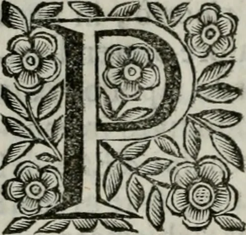 An illustration from Scena letteraria de gli scrittori bergamaschi aperta alla cvriosità de svoi concittadini .., 1664, leaf 183