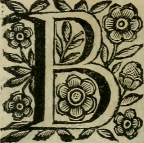 An illustration from Scena letteraria de gli scrittori bergamaschi aperta alla cvriosità de svoi concittadini .., 1664, leaf 186