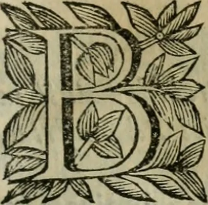 An illustration from Scena letteraria de gli scrittori bergamaschi aperta alla cvriosità de svoi concittadini .., 1664, leaf 190